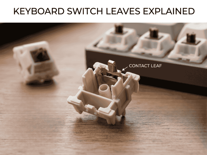 Switch Leaves Explained